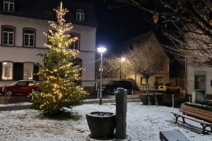 Weihnachtsbaum 2022 in Frankfurt Nieder-Erlenabch